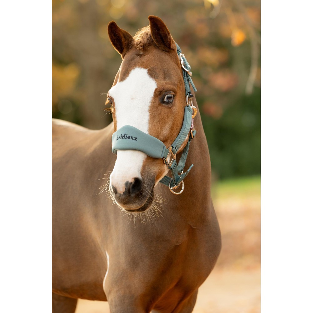 LeMieux Breakaway Mini Vogue Headcollar & Leadrope - Aloe