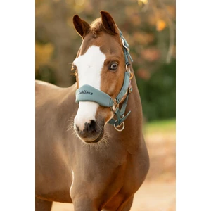 LeMieux Breakaway Mini Vogue Headcollar & Leadrope - Aloe in Aloe