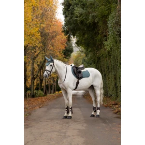 LeMieux Merino+ Suede Classic Close Contact Square - Aloe in Aloe