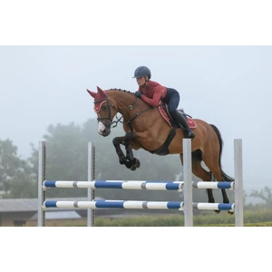 LeMieux Loire Classic Close Contact Square - Russet in Russet
