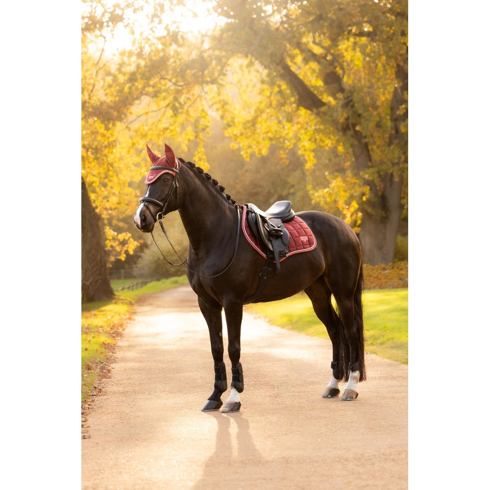LeMieux Loire Classic Close Contact Square - Russet