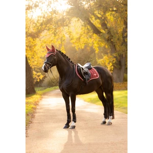 LeMieux Loire Classic Close Contact Square - Russet in Russet