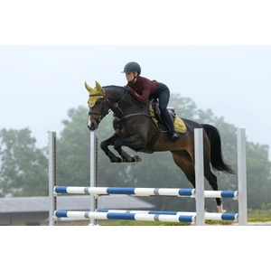 LeMieux Loire Classic Close Contact Square - Gooseberry in Gooseberry