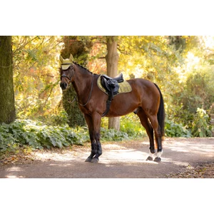 LeMieux Loire Classic Close Contact Square - Gooseberry in Gooseberry