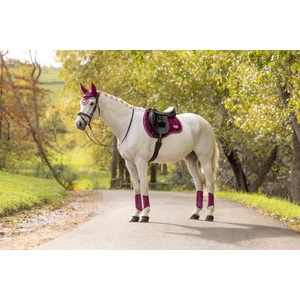 LeMieux Loire Classic GP Square - Blackberry in Blackberry