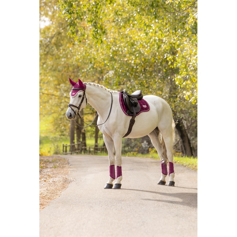 LeMieux Loire Classic GP Square - Blackberry