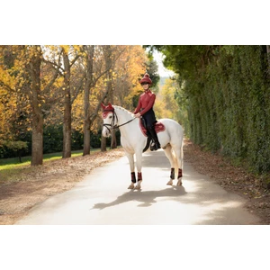LeMieux Loire Classic GP Square - Russet in Russet