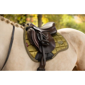 LeMieux Loire Classic GP Square  - Gooseberry in Gooseberry
