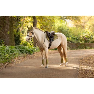 LeMieux Loire Classic GP Square  - Gooseberry in Gooseberry