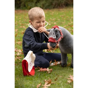 LeMieux Toy Pony Vet Set  - Multi 