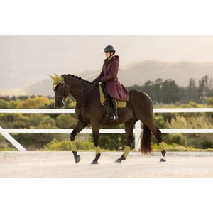 LeMieux Erin Waterproof Padded Coat - Bramble in Bramble