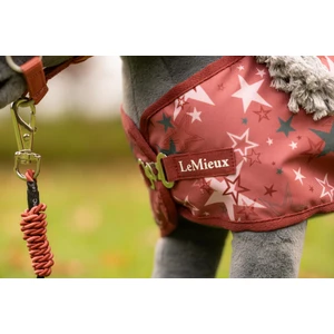 LeMieux Toy Pony Printed Turnout Rug - Spiced Earth in Spiced Earth
