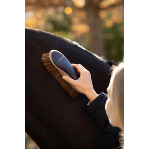 LeMieux Dandy Brush navy - Navy in Navy