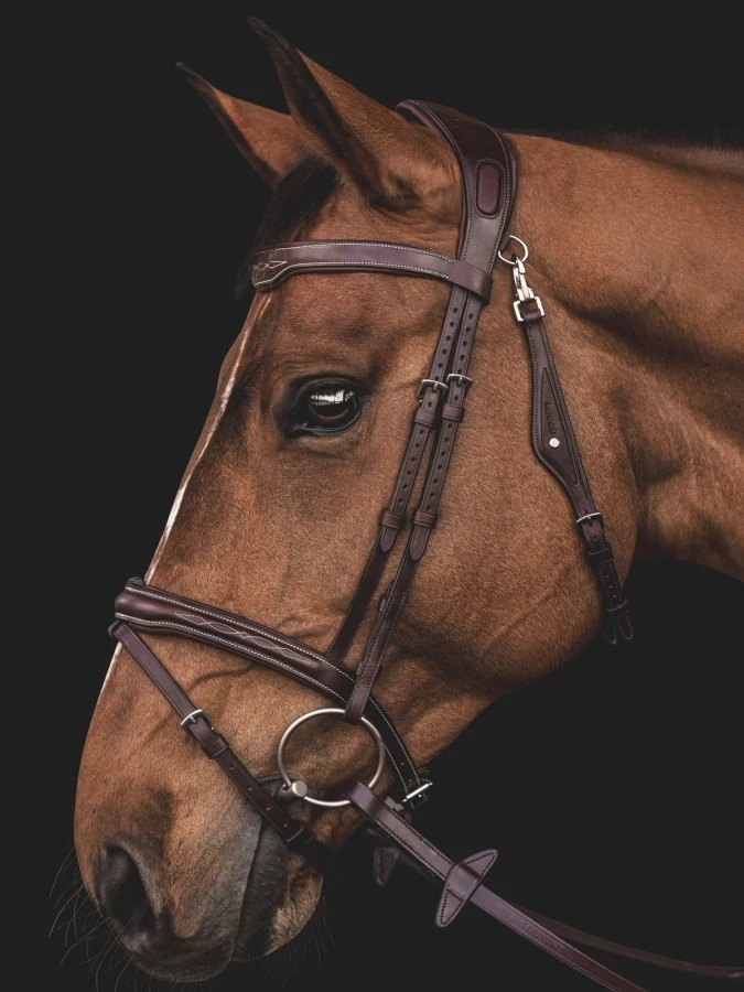 Equiline Brown classic bridle with contrast stitching in Brown