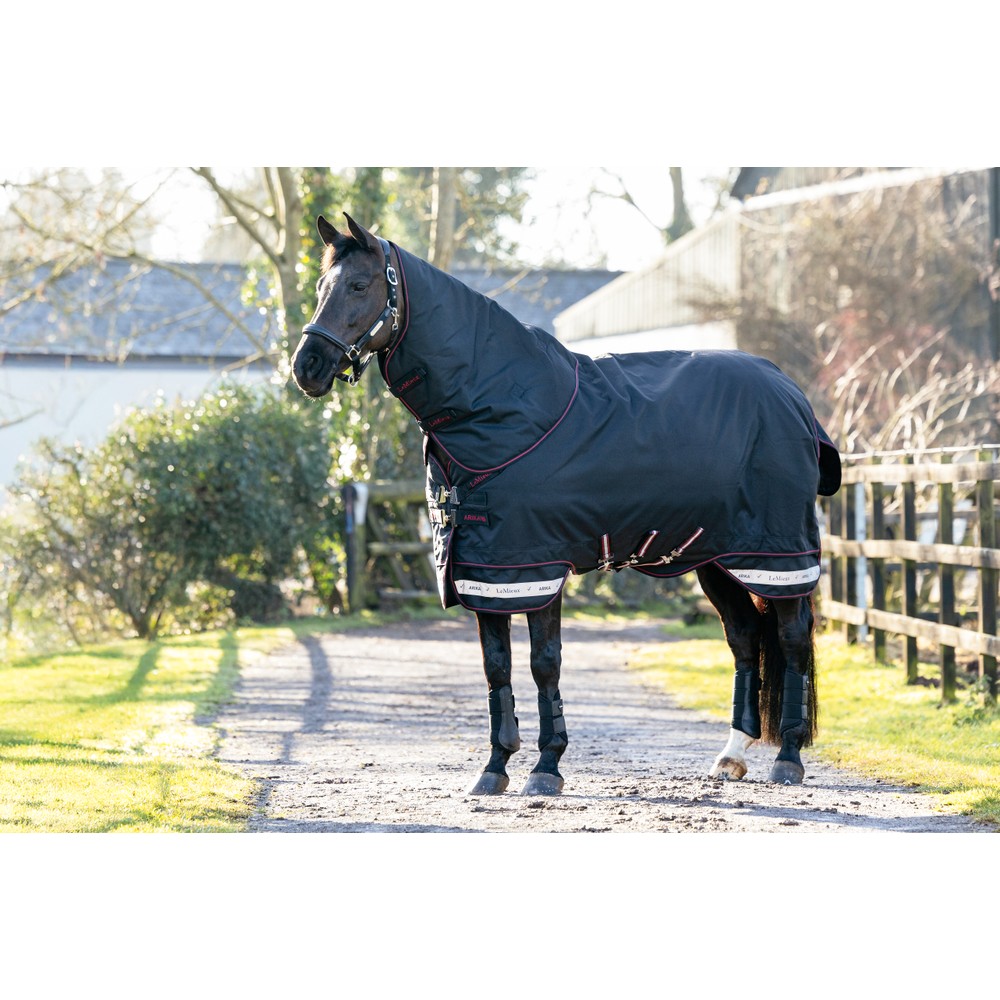 LeMieux Arika Storm-Tek Rug 350g - Black
