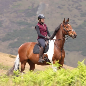 Aubrion Original Fleece Gilet - Maroon in Maroon