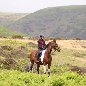Aubrion Original Fleece Gilet - Maroon in Maroon