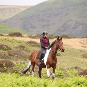 Aubrion Original Fleece Gilet - Maroon in Maroon