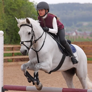 Aubrion Original Fleece Gilet - Young Rider - Maroon in Maroon
