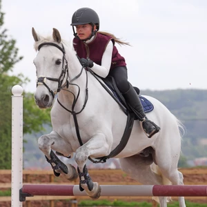 Aubrion Original Fleece Gilet - Young Rider - Maroon in Maroon