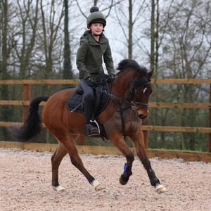 Aubrion React Thermal Waterproof Coat- Young Rider - Khaki in Khaki