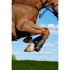 LeMieux Impact Pro Tendon Boot - Black in Black