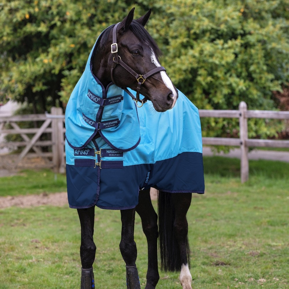 Horseware Amigo Amigo Ripstop 600D Plus Turnout 100g - Delphinium Blue/Navy