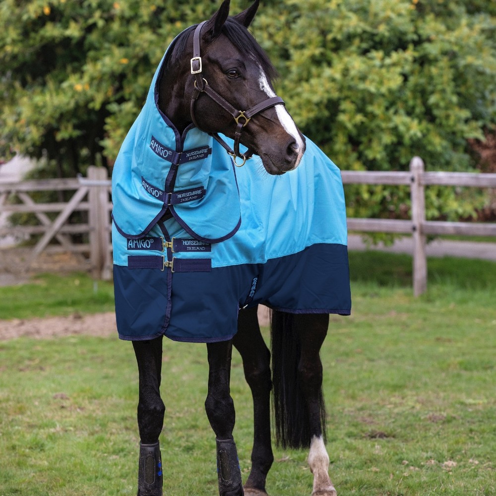 Horseware Amigo Amigo Ripstop 600D Plus Turnout 200g - Delphinium Blue/Navy