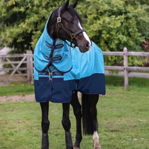 Horseware Amigo Amigo Ripstop 600D Plus Turnout 200g - Delphinium Blue/Navy in Delphinium Blue/Navy