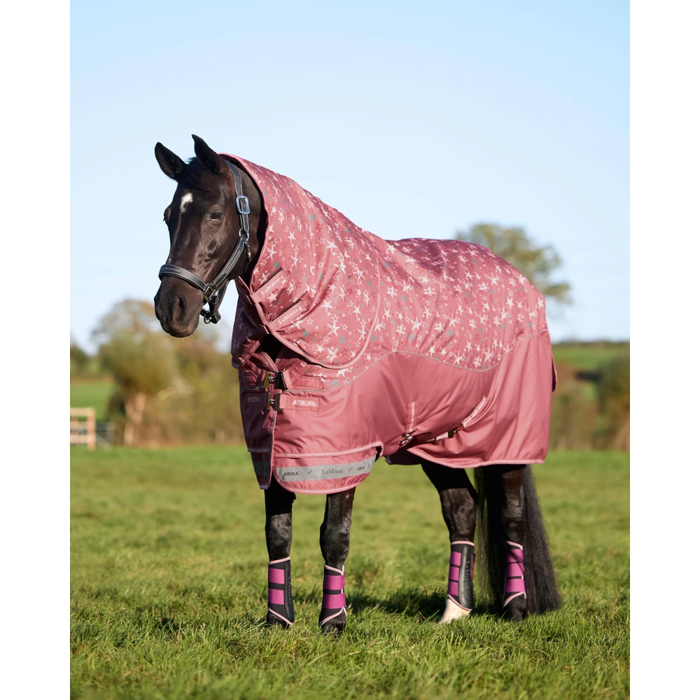 LeMieux Arika Star Turnout Rug 200g - Spiced Earth in Spiced Earth