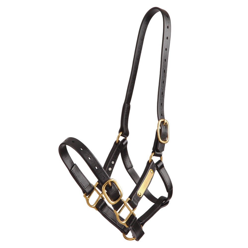 Zilco Deluxe PN Halter - Black