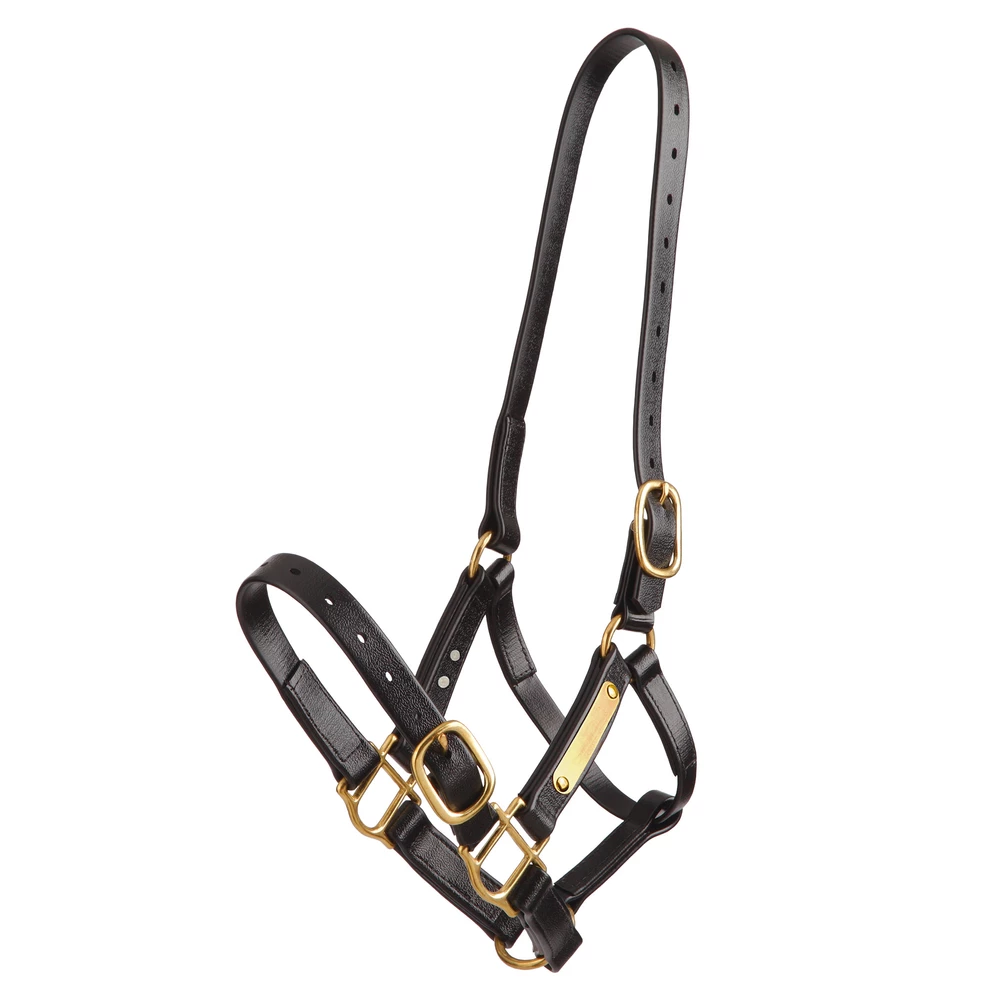 Zilco Deluxe PN Halter - Black in Black