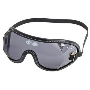 Zilco Goggles Smoke Lenses in Smoke/Black Trim