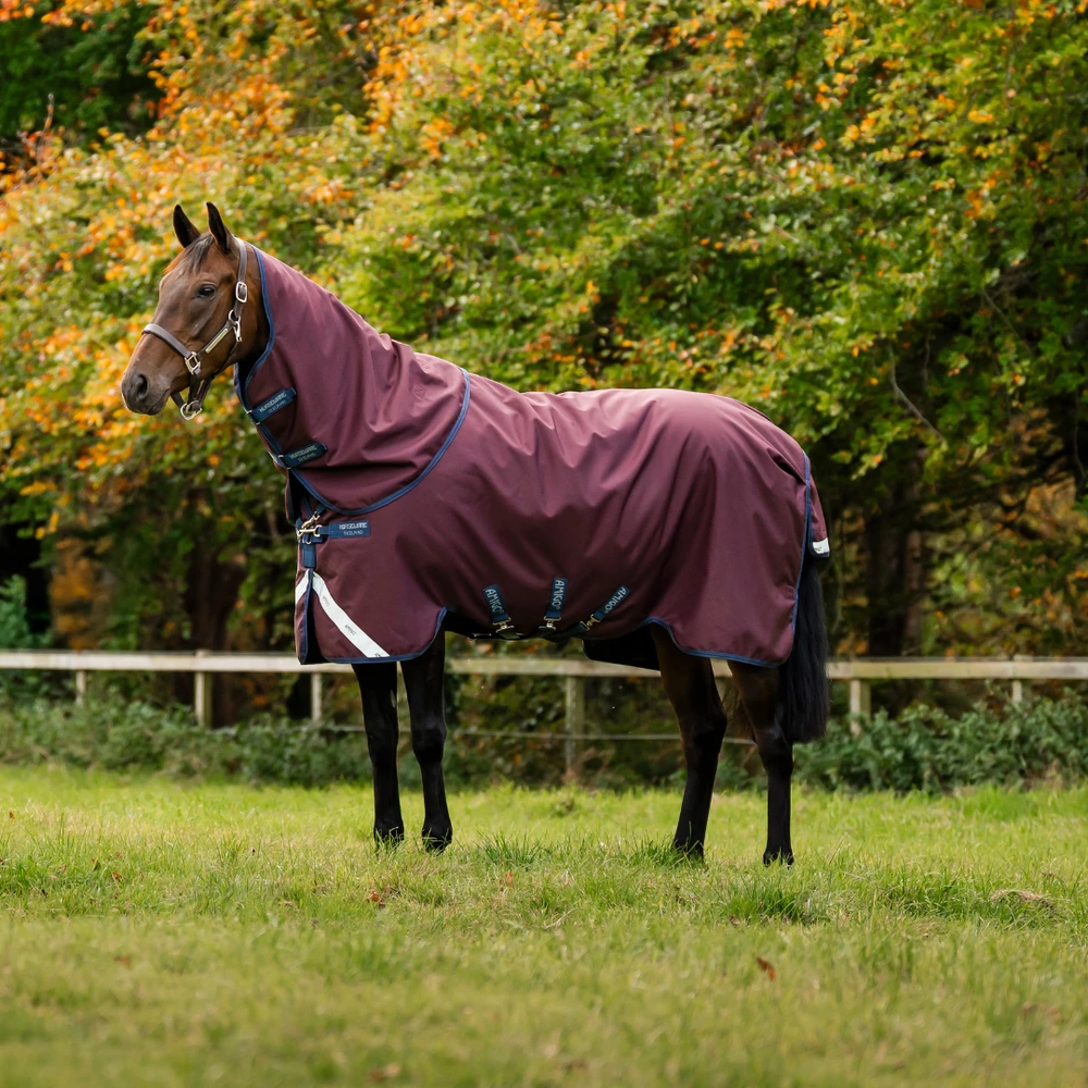 Horseware Amigo Amigo 1200D Plus Turnout 250g in Burgundy/Navy & Titanium Grey