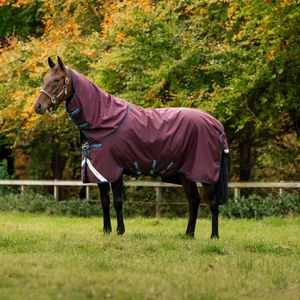 Horseware Amigo Amigo 1200D Plus Turnout 250g in Burgundy/Navy & Titanium Grey