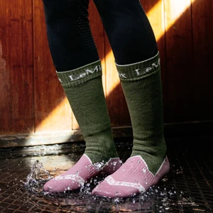 LeMieux x Sealskinz Waterproof Socks - Olive in Olive