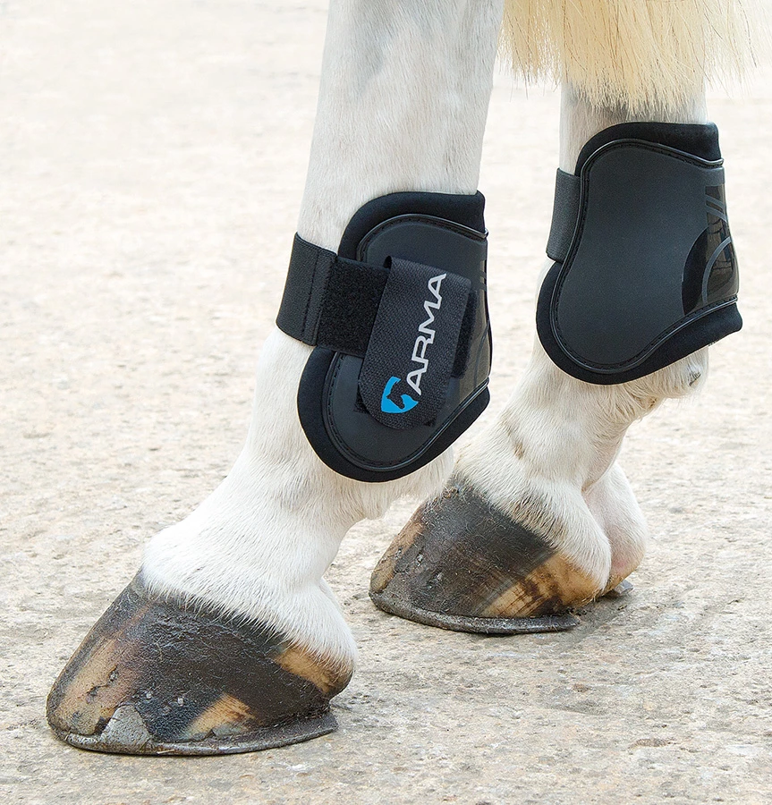 Arma Fetlock Boots in Black
