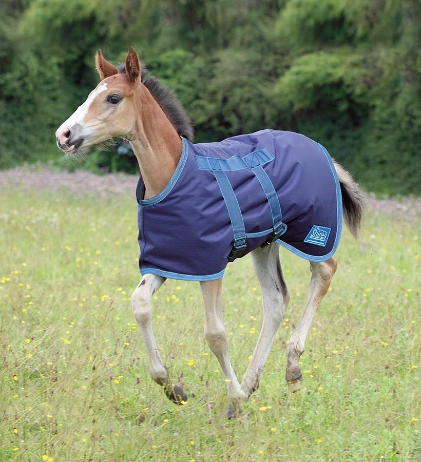 Shires Tempest Foal Rug 200g in Navy/Turquoise