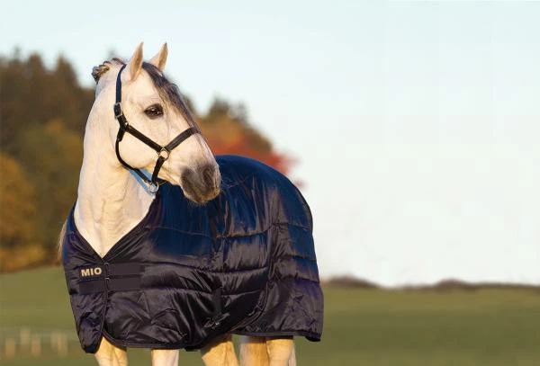 Horseware Mio Mio Insulator Heavy 300g in Navy/Tan