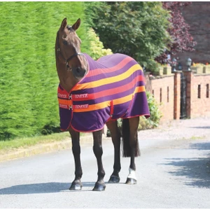 Shires Newmarket Fleece Rug in Purple