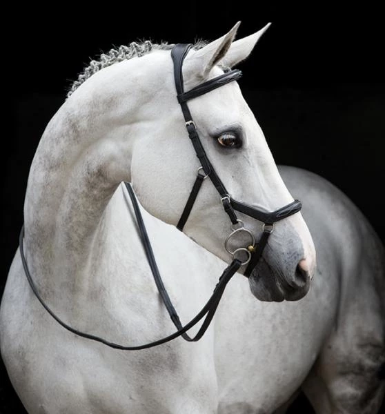 Rambo Micklem Deluxe Competition Bridle in Black