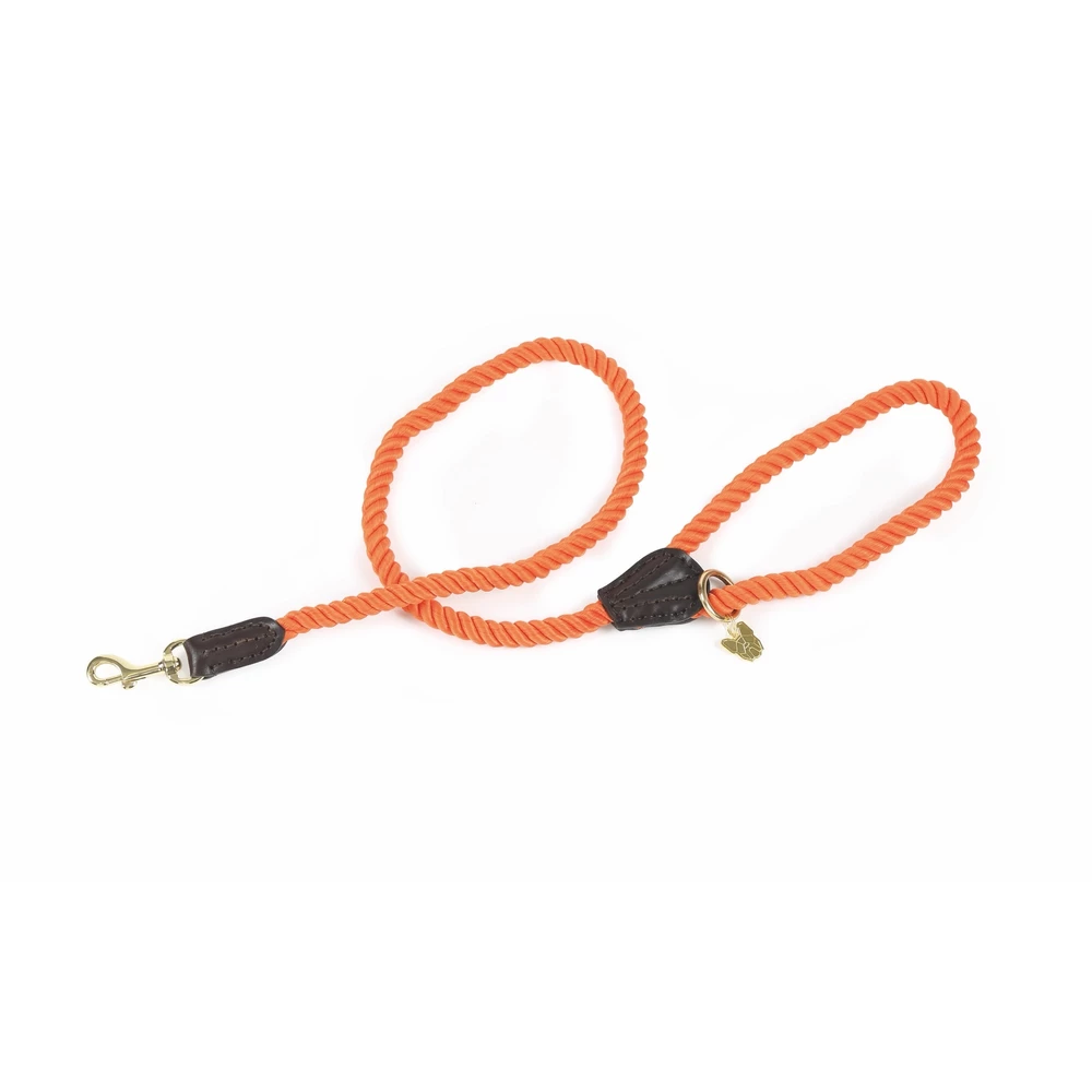 Digby & Fox Rope Dog Lead in Orange