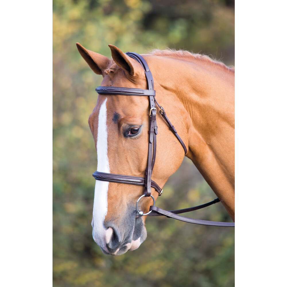 Salisbury Fairford Bridle