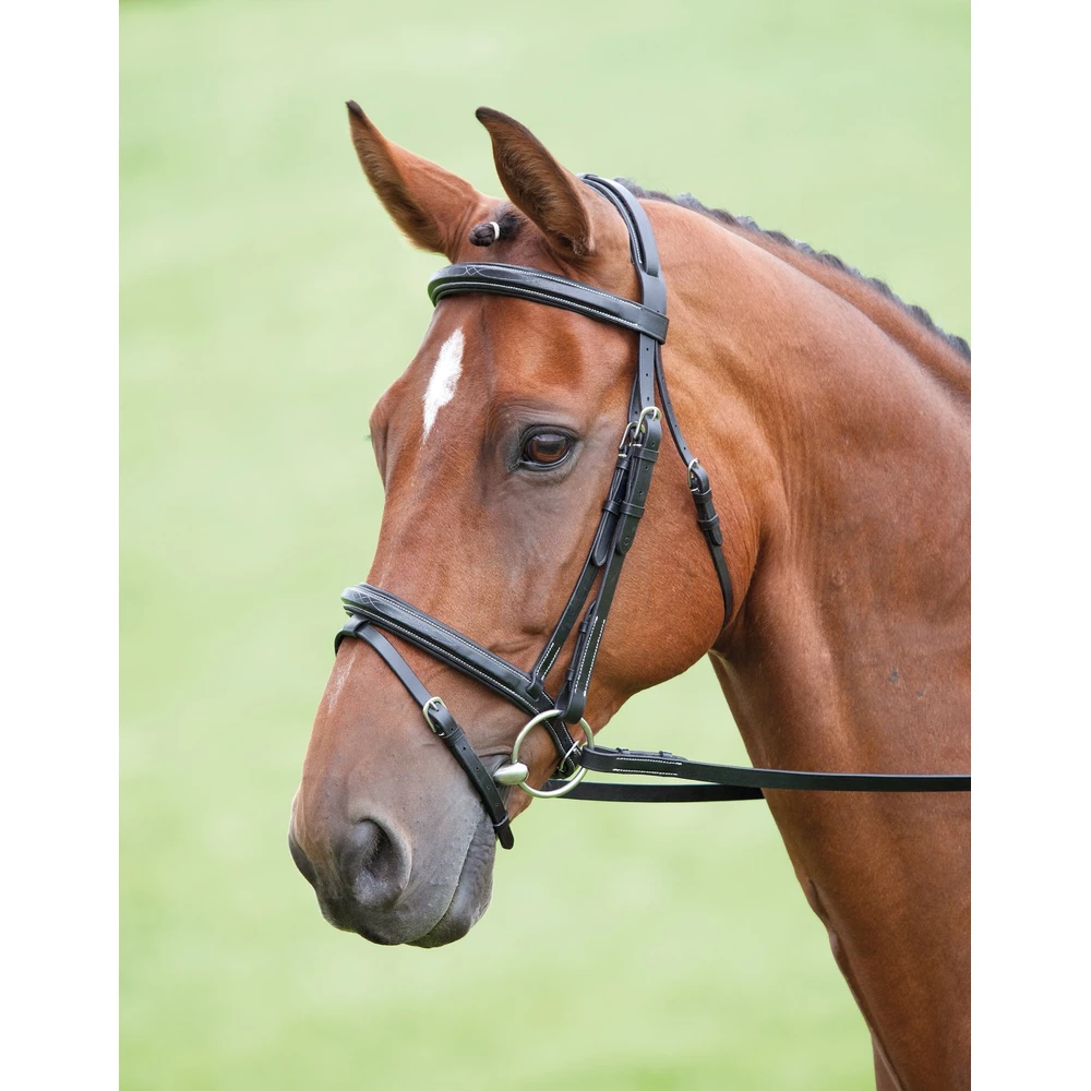 Salisbury Bodenham Bridle in Black