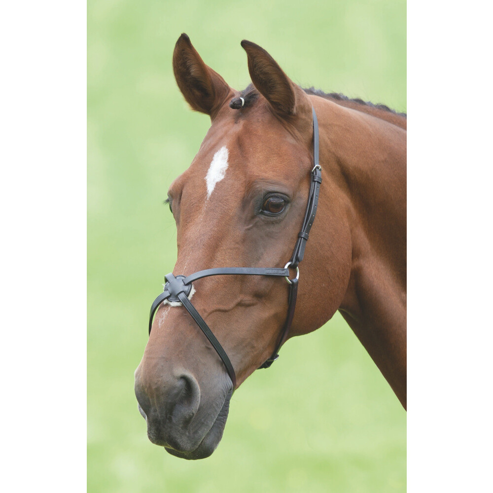 Velociti GARA Blenheim Mexican Noseband