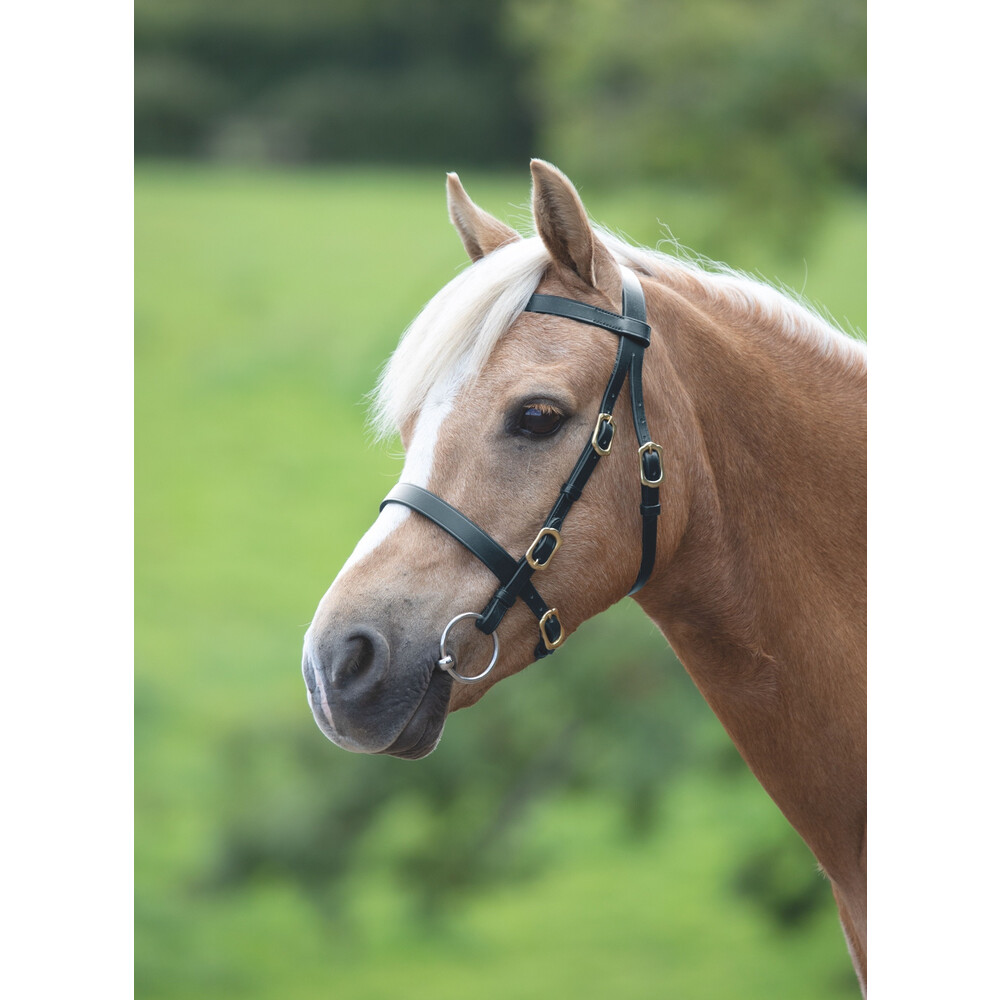 Velociti Plain Inhand Bridle