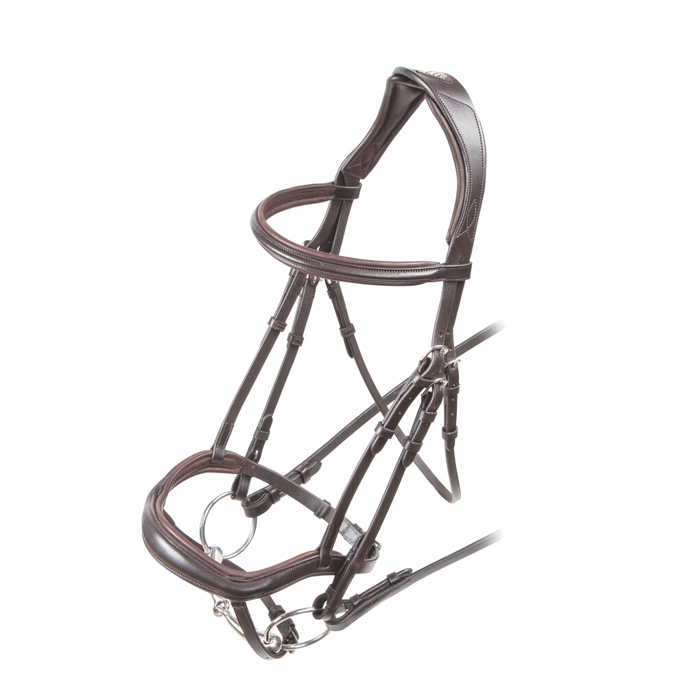 Velociti Ergonomic Flash Bridle