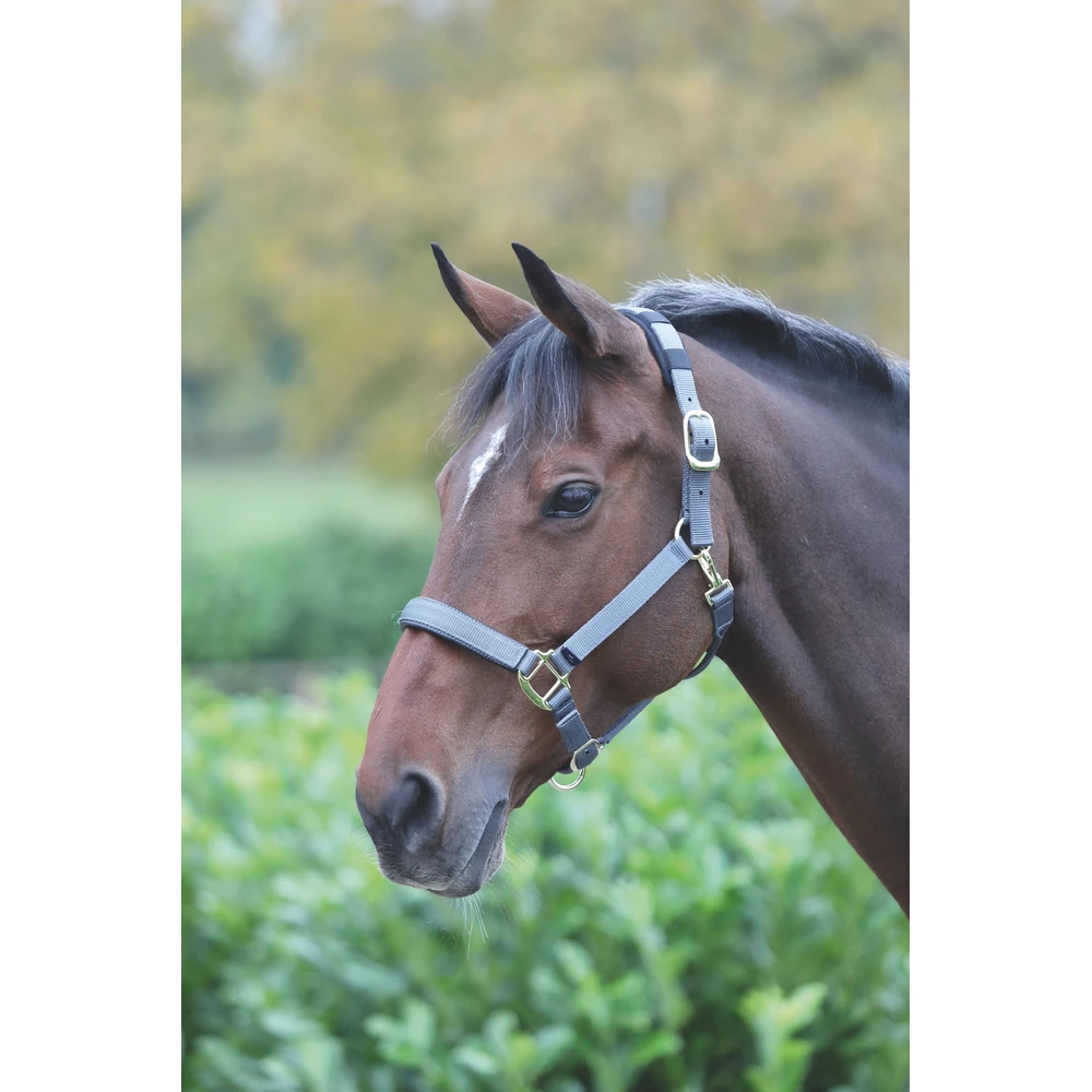 Shires Topaz Nylon Headcollar in Grey