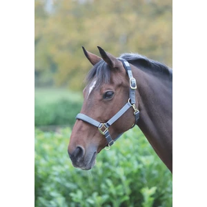 Shires Topaz Nylon Headcollar in Grey