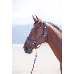 Shires Topaz Nylon Headcollar in Navy